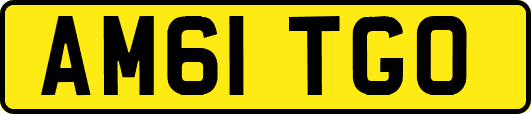 AM61TGO