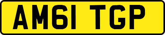 AM61TGP
