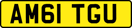 AM61TGU