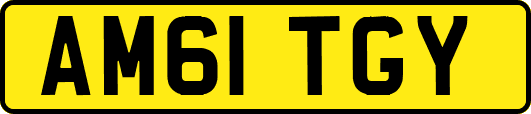 AM61TGY