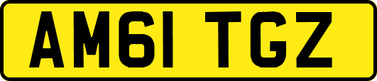 AM61TGZ