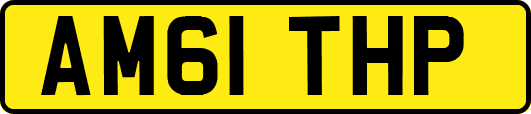 AM61THP