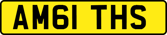 AM61THS