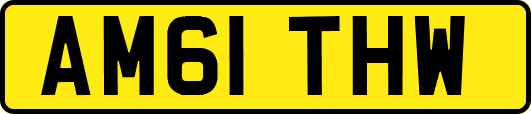 AM61THW