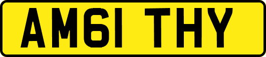 AM61THY