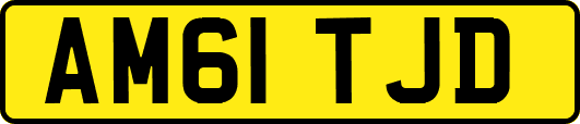 AM61TJD