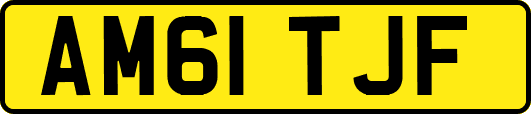 AM61TJF