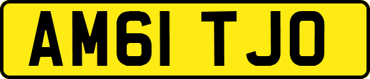 AM61TJO
