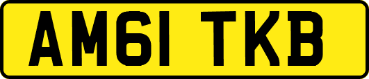 AM61TKB