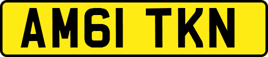 AM61TKN