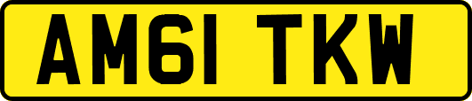 AM61TKW