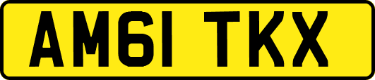 AM61TKX