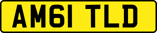 AM61TLD