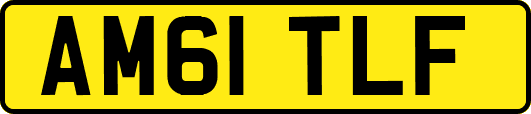 AM61TLF