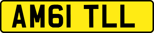 AM61TLL