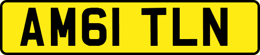 AM61TLN