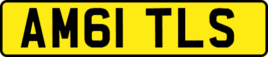 AM61TLS