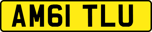 AM61TLU