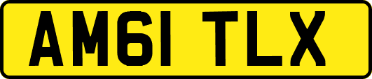 AM61TLX