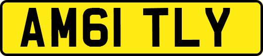AM61TLY