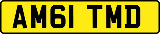 AM61TMD