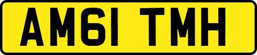 AM61TMH