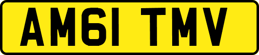 AM61TMV