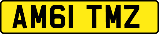 AM61TMZ