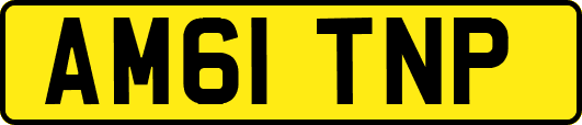 AM61TNP