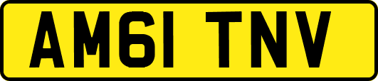 AM61TNV