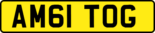 AM61TOG