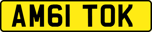 AM61TOK