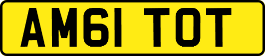 AM61TOT