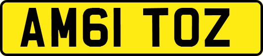 AM61TOZ