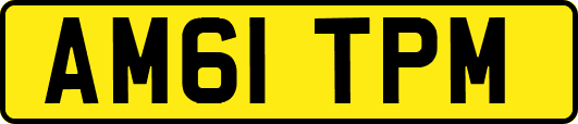 AM61TPM