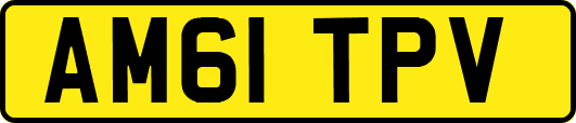 AM61TPV