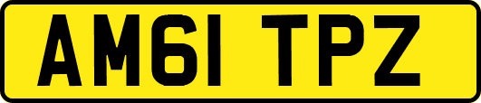 AM61TPZ