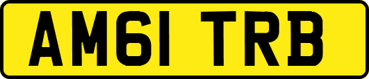 AM61TRB