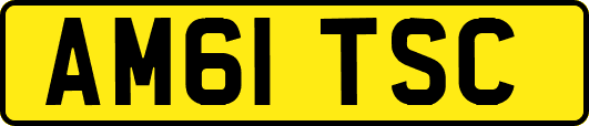 AM61TSC
