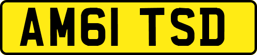 AM61TSD