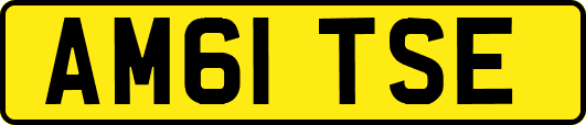 AM61TSE