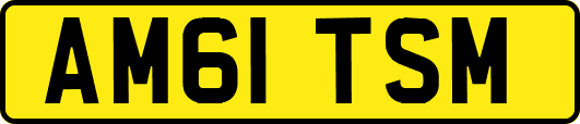 AM61TSM