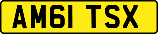 AM61TSX