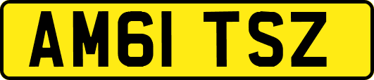 AM61TSZ