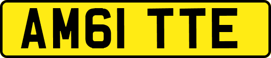 AM61TTE