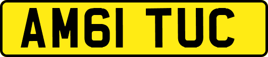 AM61TUC