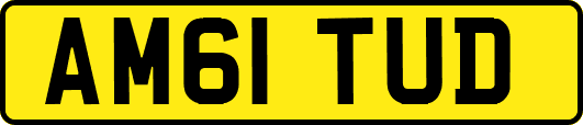 AM61TUD