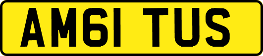 AM61TUS