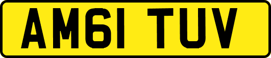 AM61TUV