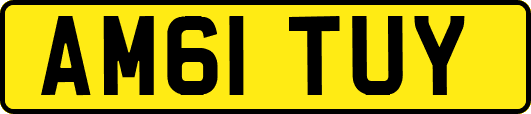 AM61TUY